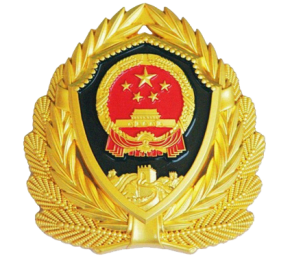 武警徽佩戴的严格规定