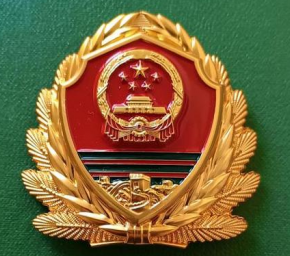 武警徽所代表的和平守护精神